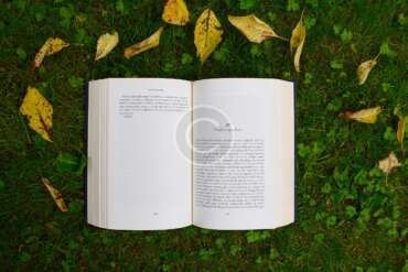 Home is where the Heart is